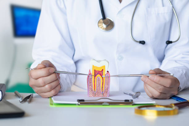 Best Dentist for Dental Trauma  in Edina, MO